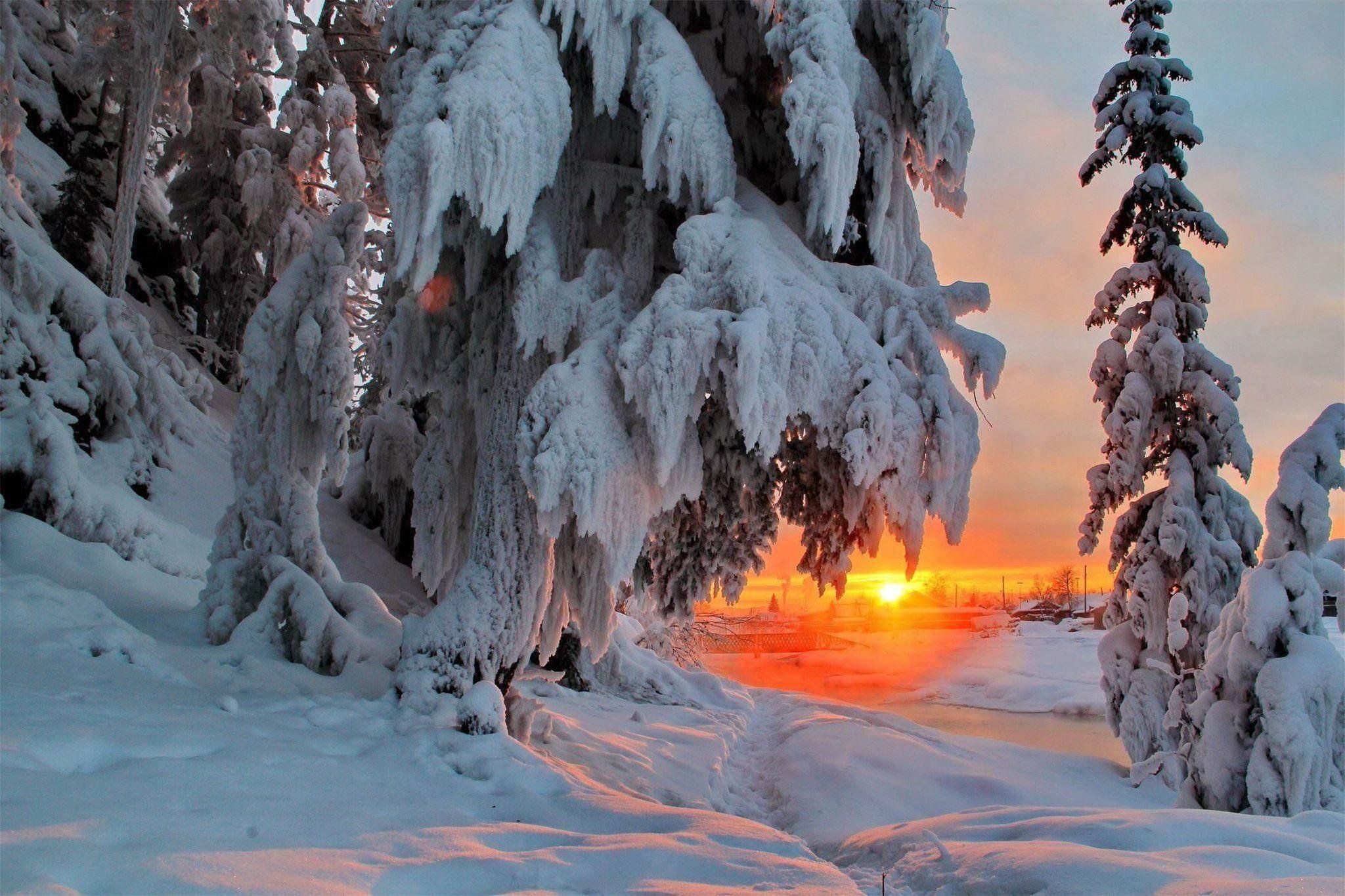 Красота декабря. Красота зимы. Природа зимой. Сказочно красивый зимний лес. Зимняя сказка.