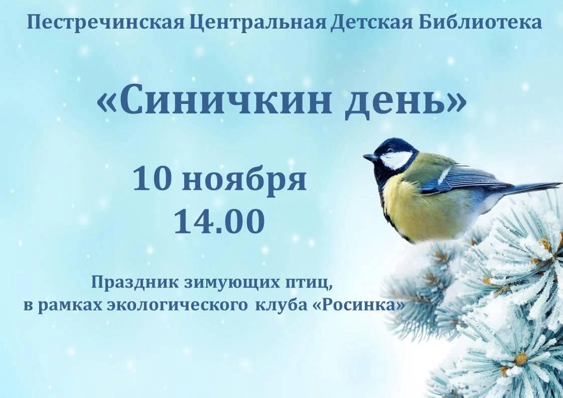 Синичкин день мероприятие. Синичкин день. Праздник Синичкин день в детском саду. Синичкин день для детей. Синичкин день 2022.