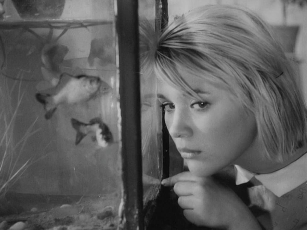 Кадр из художественного фильма Юлия Карасика «Дикая собака Динго» (1962)