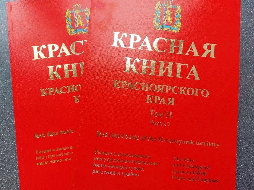 Новая редакция Красной книги Красноярского края. В предыдущих постах рубрики "По
