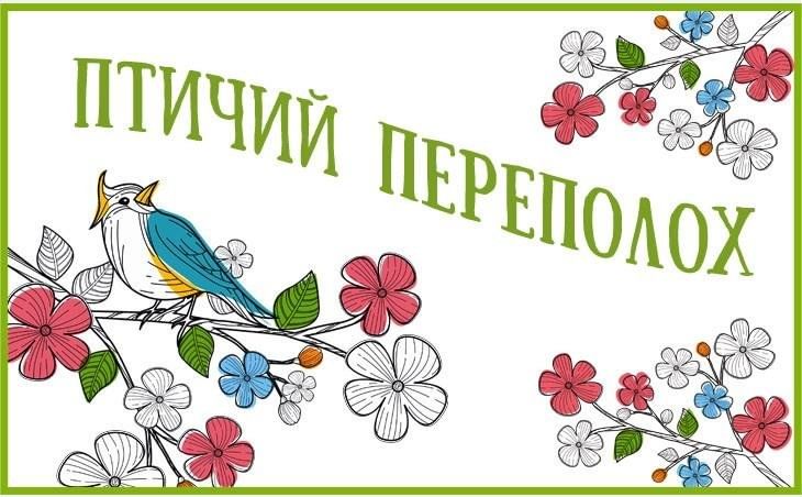 Весенний переполох картинки