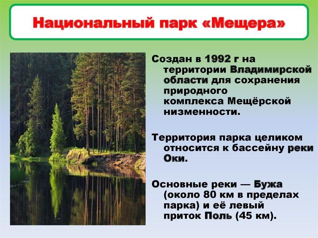 Мещерский у лесного озера описание картины 3 класс