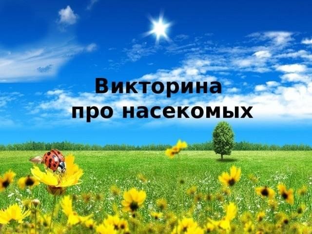 Презентация викторина о насекомых