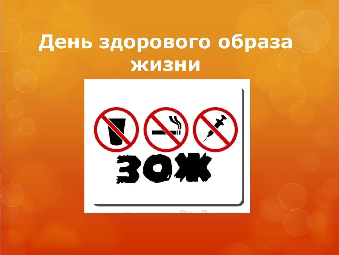 День зож
