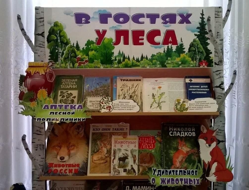 Библиотека книга лес