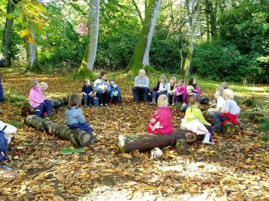 Экологическое развлечение. Waldkindergarten Лесные детские сады из Германии. Экскурсия в саду. Экскурсия на природу. Дети на экскурсии на природе.