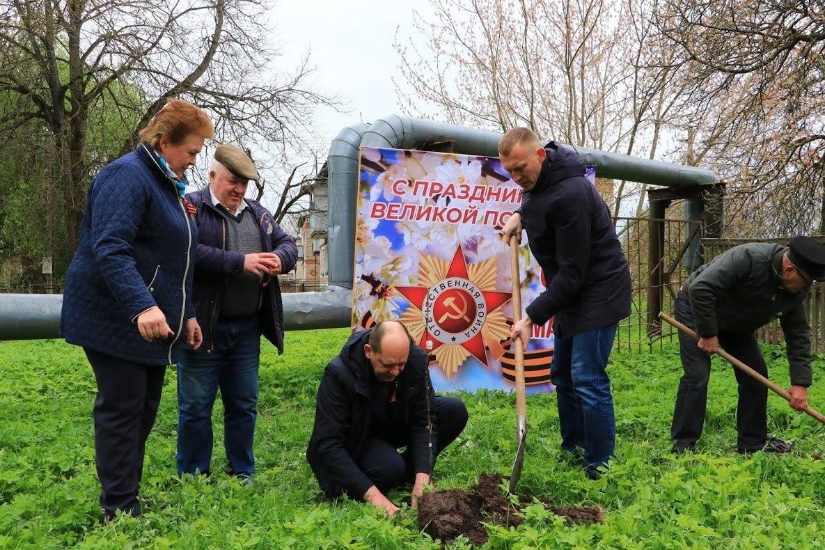 Песни сад памяти. Сад памяти Новосибирск 2022. Международная акция сад памяти. Сад памяти фон. Сад памяти логотип.