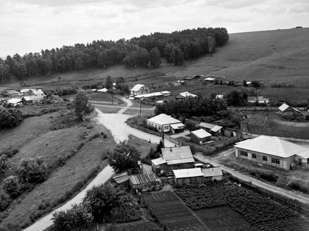 Вид на село Сростки и дом-музей Василия Шукшина (в центре). Фотография: Виктор Садчиков / Фотохроника ТАСС