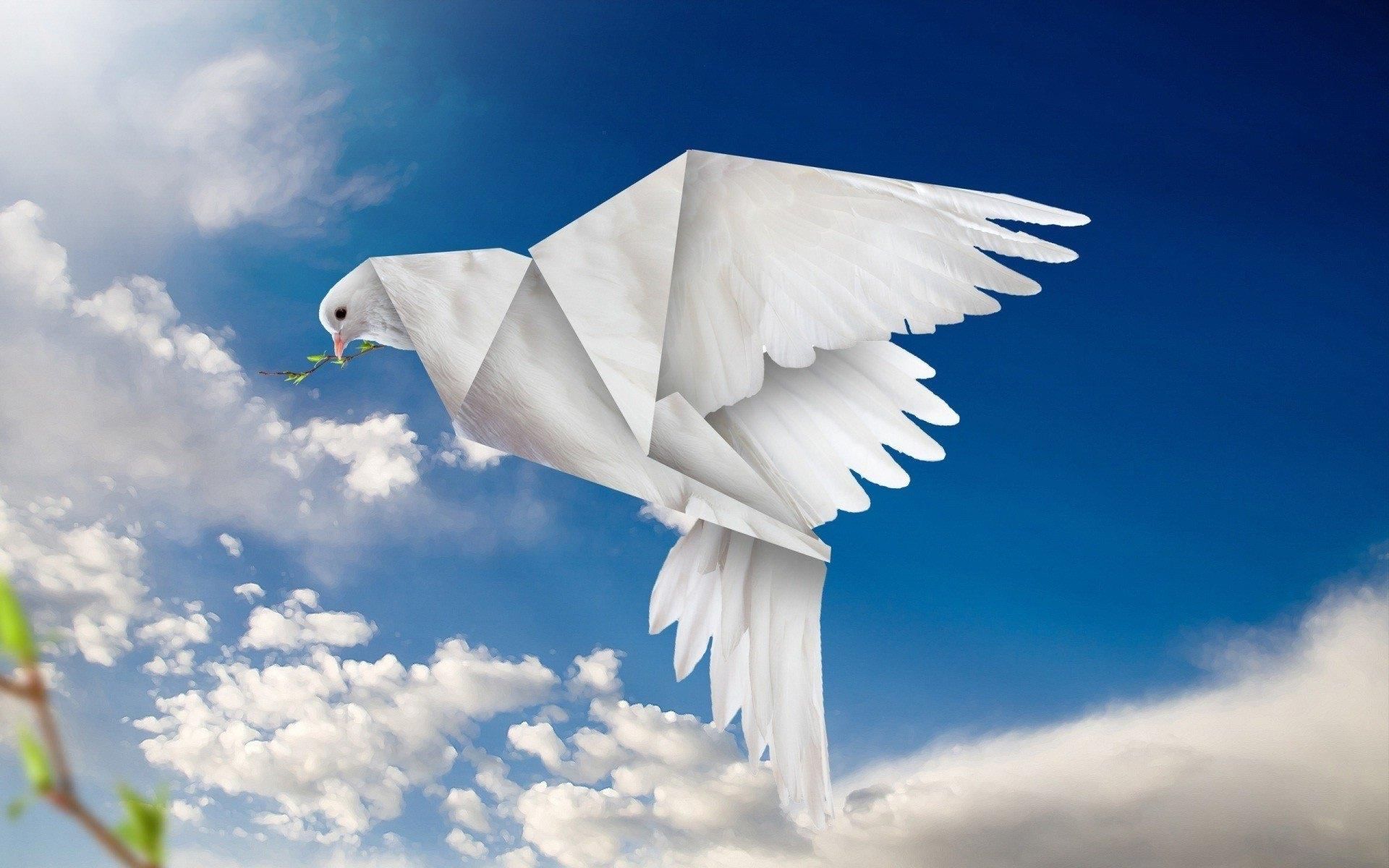 Над головой летит. Бумажный голубь. Белый голубь. Голуби в небе. Голубь из бумаги.
