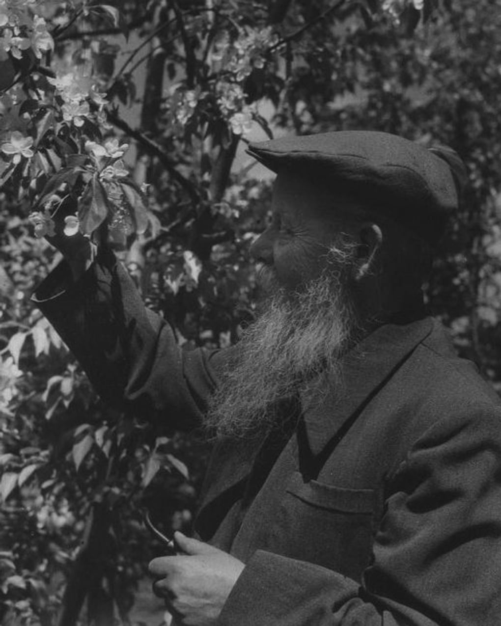 Павел Бажов в саду. 1950 год. Фотография: Государственный исторический музей, Москва