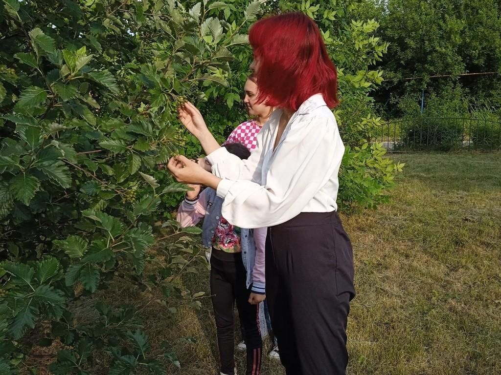 Познавательная программа «Аптека в огороде» 2024, Ракитянский район — дата  и место проведения, программа мероприятия.