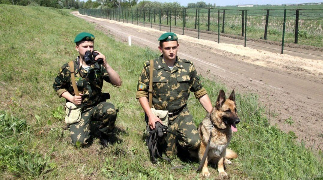 Фото пограничника с собакой на границе