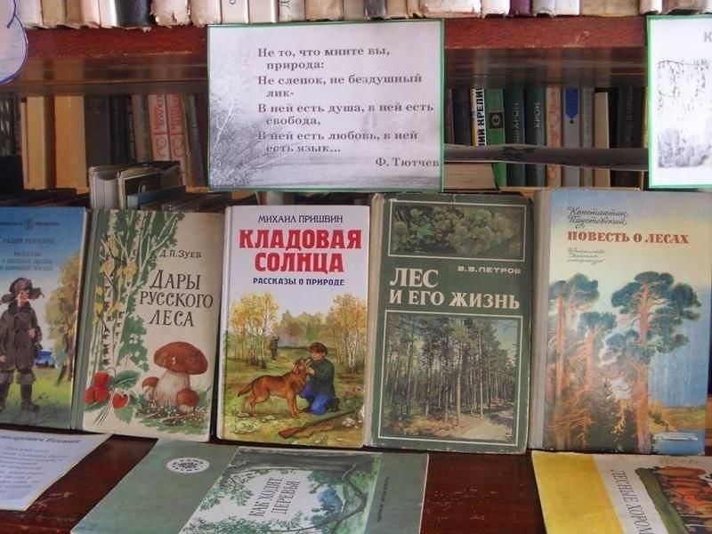 Выставка писателей. Писатели о природе выставка в библиотеке. Книжная выставка Писатели о природе в библиотеке. Выставка книг писателей о природе. Книжная выставка поэты о природе.