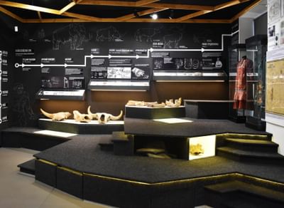 Экспозиция исторического отдела