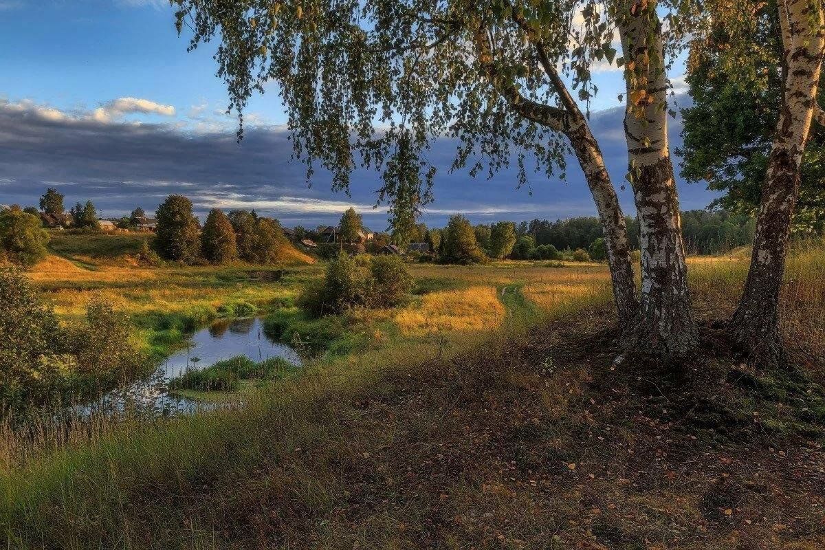 Руское лето. Фотопейзажи Владимира Рябкова. Родные просторы природа родного села. Российские просторы березы Есенин.