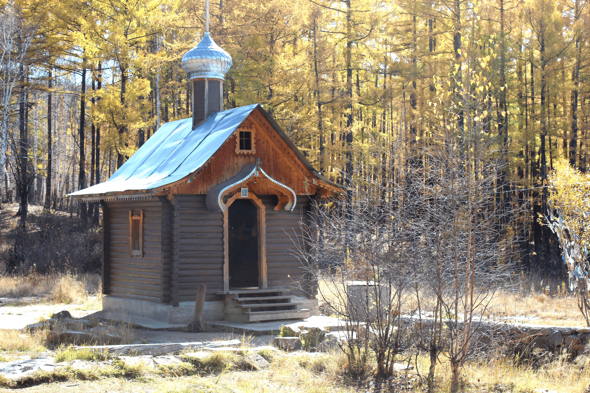 санаторий карповка забайкальский край