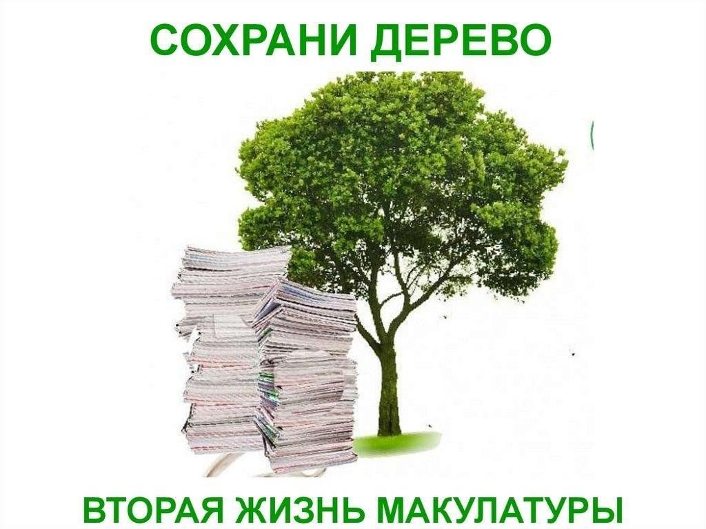 Вторая жизнь макулатуры проект