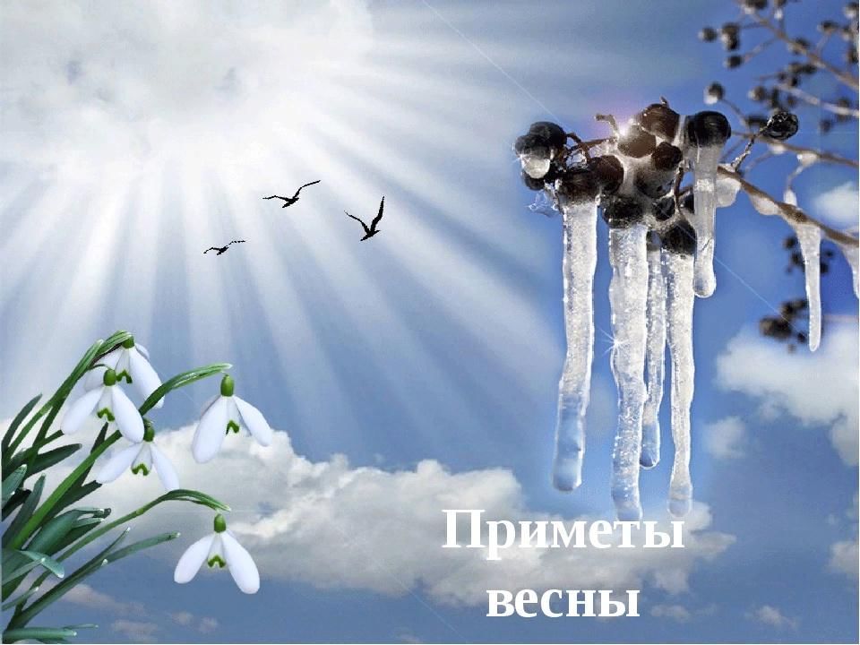 Приметы весны картинки