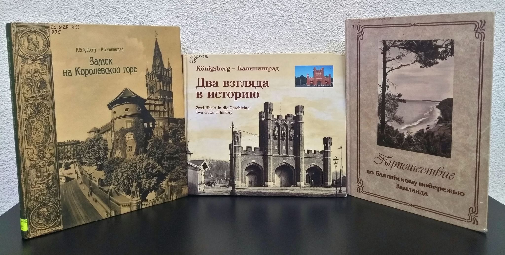 Владимир Воронов книги