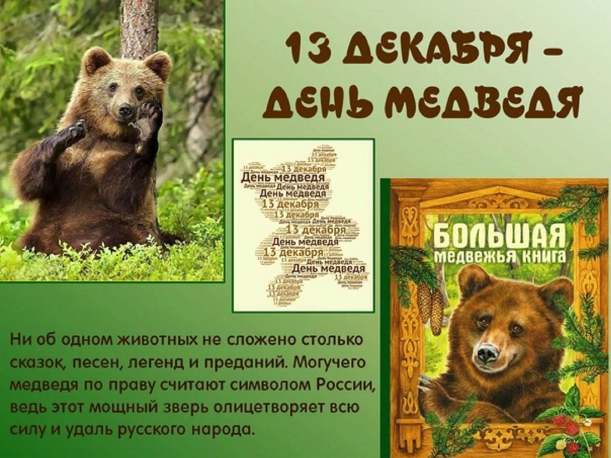 13 Декабря праздник день медведя
