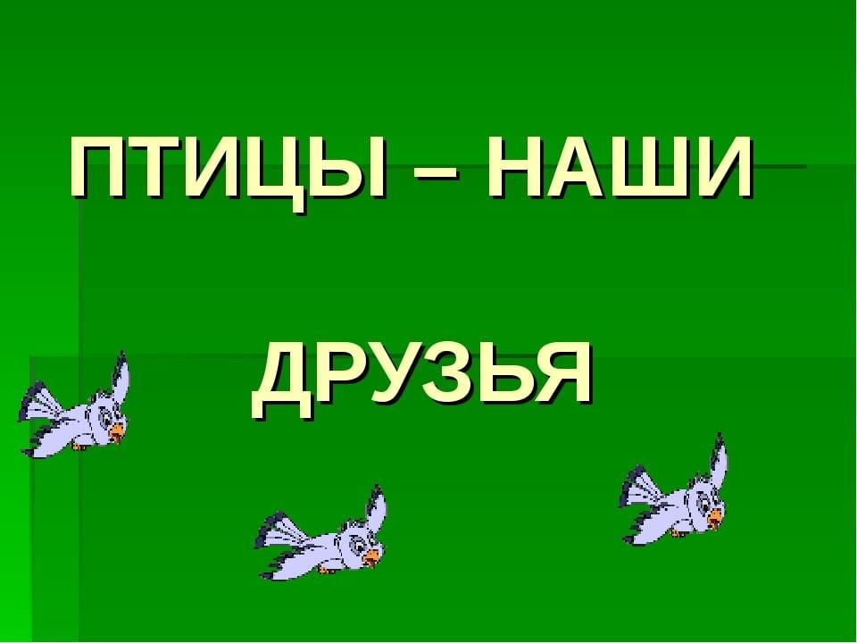 Проект птицы наши друзья