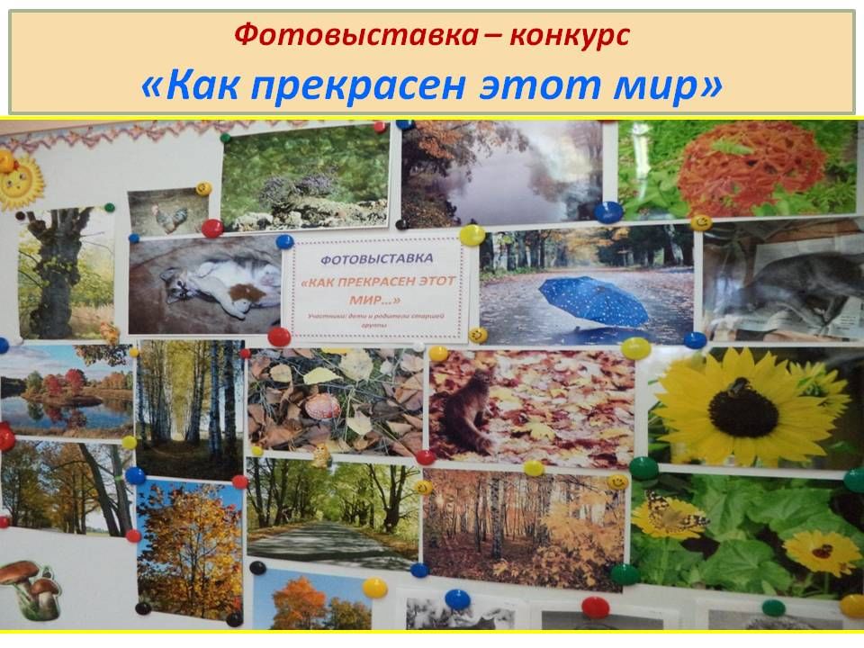 Проект как прекрасен этот мир