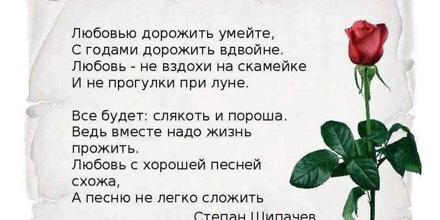 Любовь не вздохи на скамейке и не прогулки