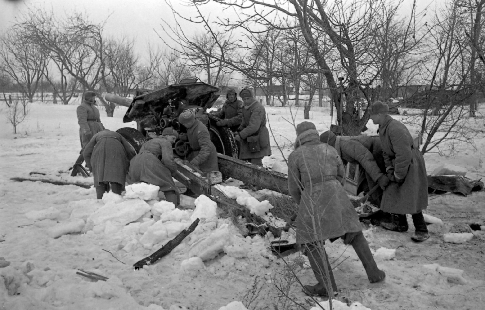 Ржевская битва фото военных лет