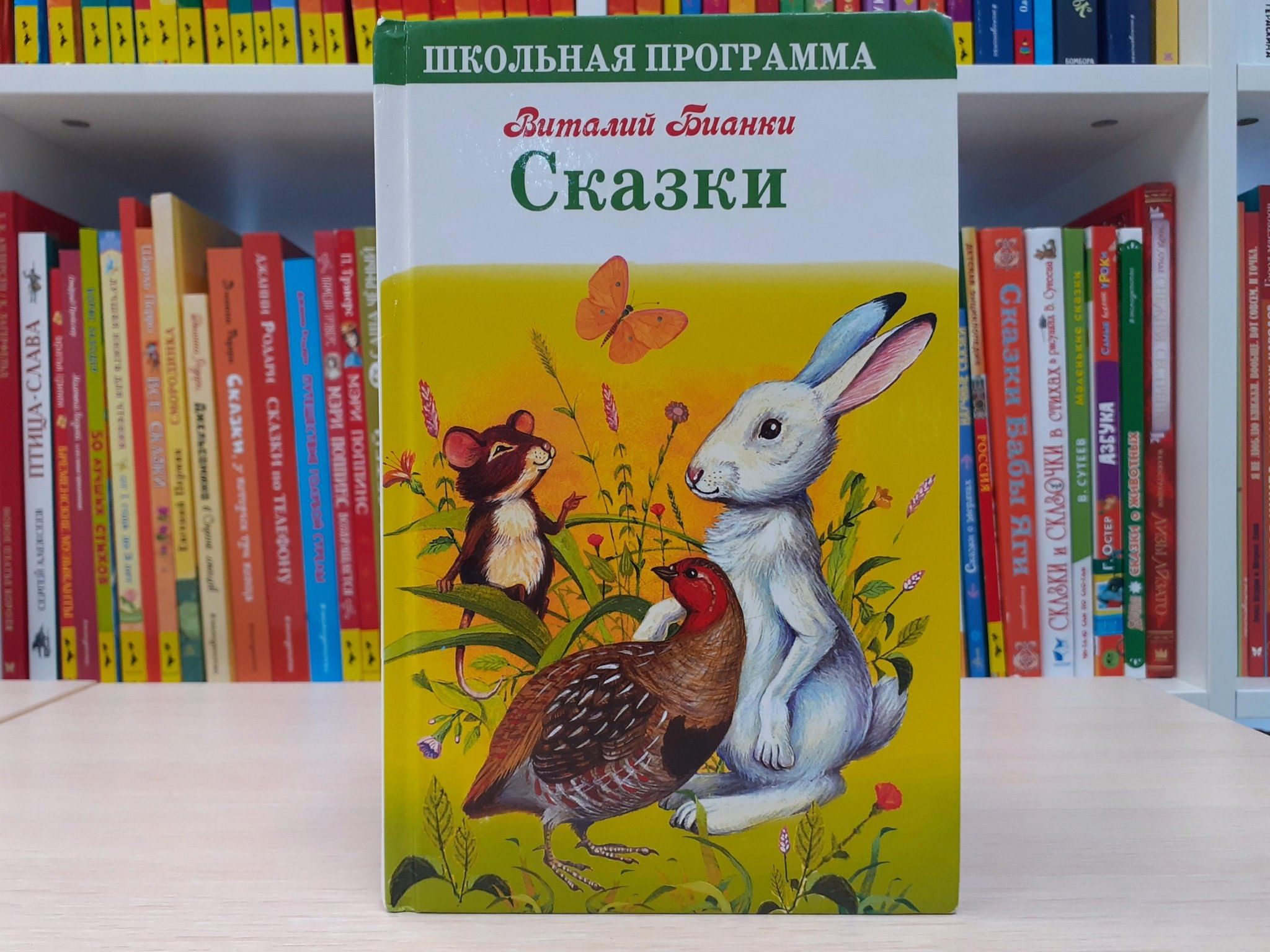 Книга–юбиляр «Лесные домишки»