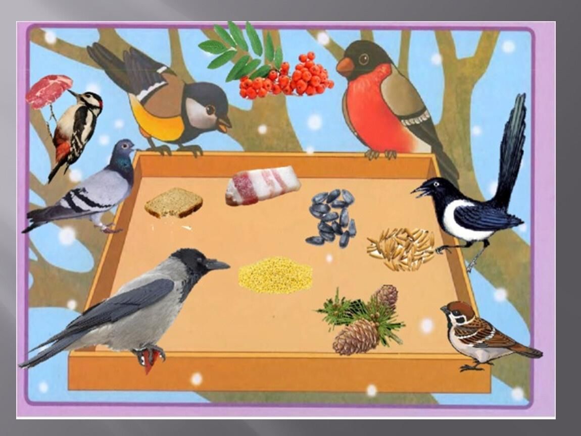 Ознакомление с окружающим птицы. Зимующие птицы для детей. Зимующие птицы для детей 3-4 лет. Детям о зимующих птицах в детском саду. Птицы для детей средней группы.