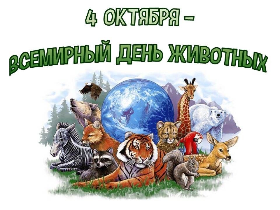 День животных 4 октября картинки