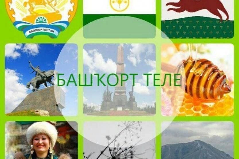 Язык республики башкортостан
