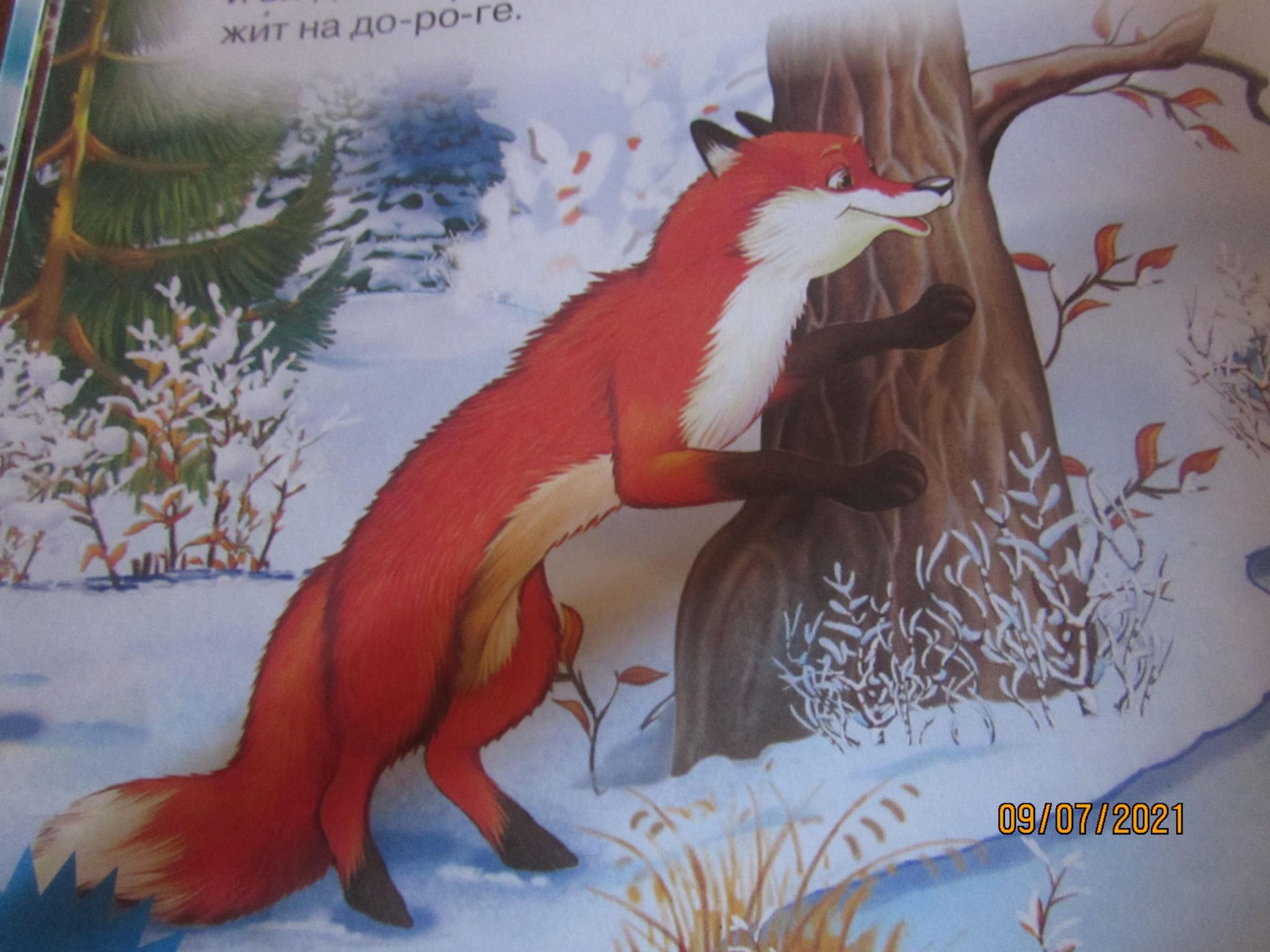 Иллюстрация к сказке лиса и волк