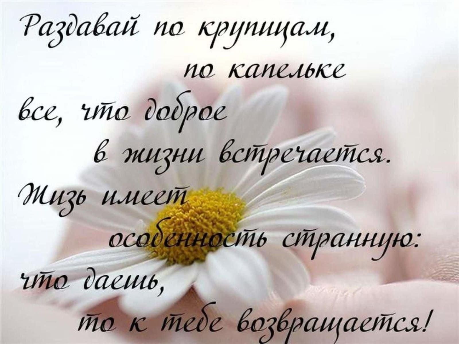 Доброта картинка со смыслом