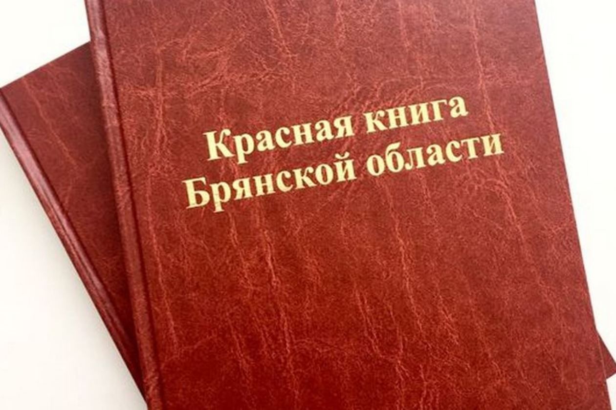 Красная книга брянской области животные и растения фото и описание