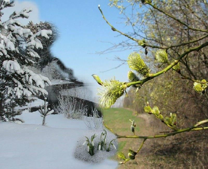Встречаем весну картинки