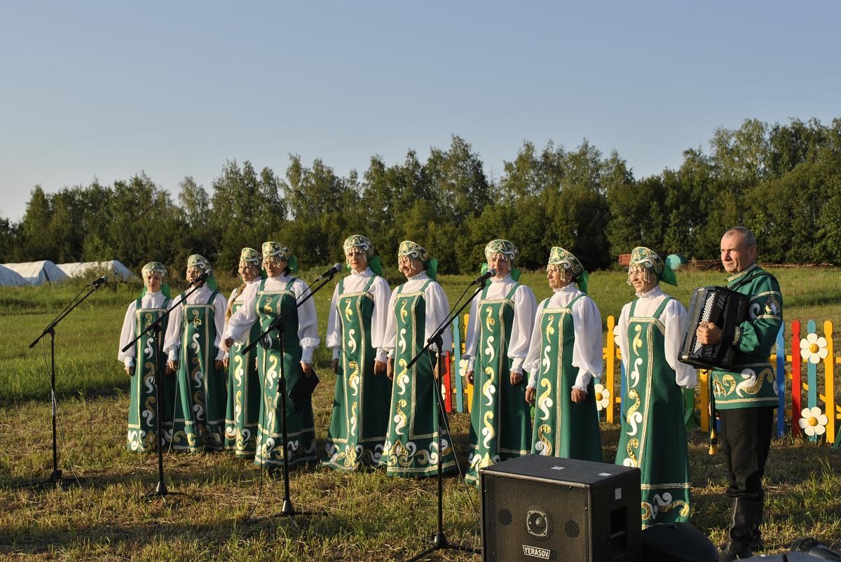 Погода солонцах вейделевский