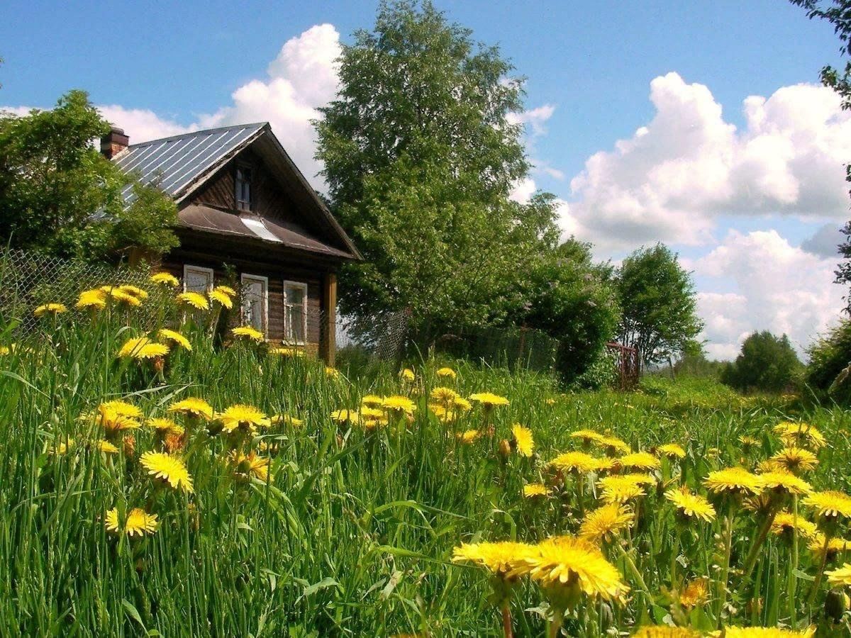 Летняя деревня. Природа деревня. Лето в деревне. Природа лето деревня. Летняя природа в деревне.