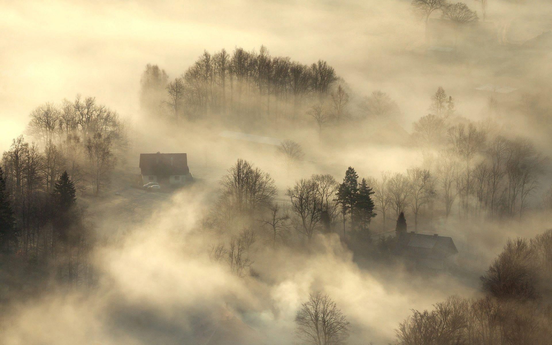 Вдруг навалился густой туман как будто. Туман. Пейзаж туман. Туманное утро в деревне. Деревенский домик в тумане.