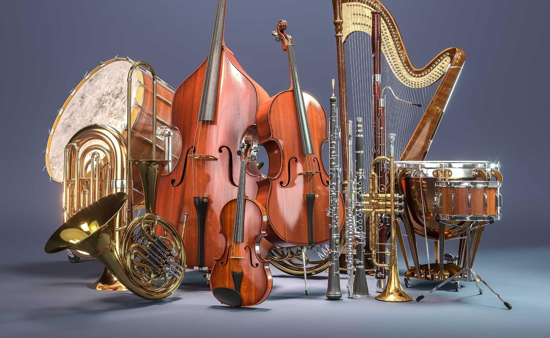 Music musical instruments