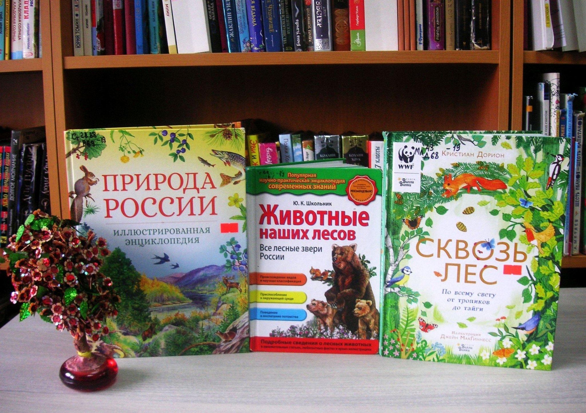 Беседы о лесе. Беседа с детьми о лесе. Картинка книги Лесные разговоры.