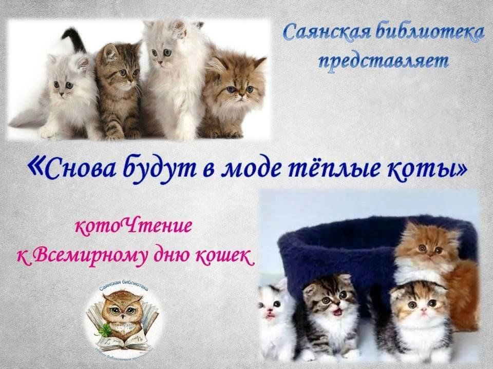Всемирный день кошек 2023. Международный день кошек. Всемирный день котиков. День кошек 2023.