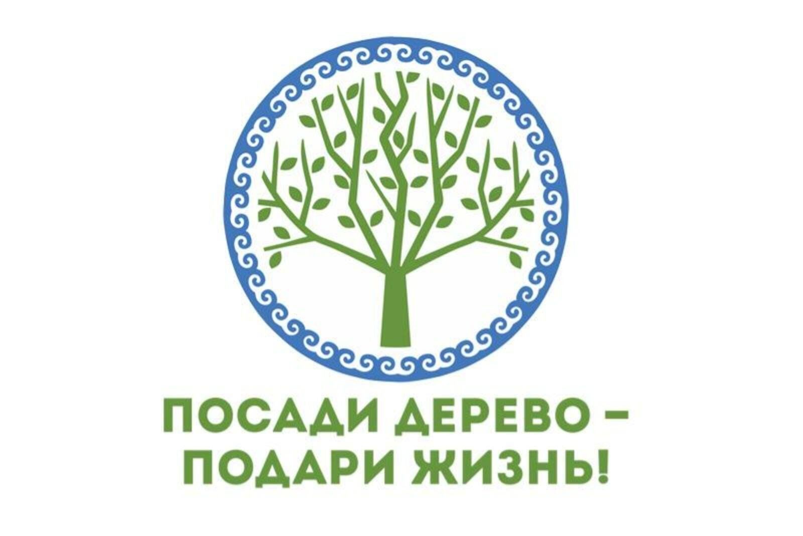 Акция «Посади дерево-подари жизнь» 2024, Давлекановский район — дата и  место проведения, программа мероприятия.