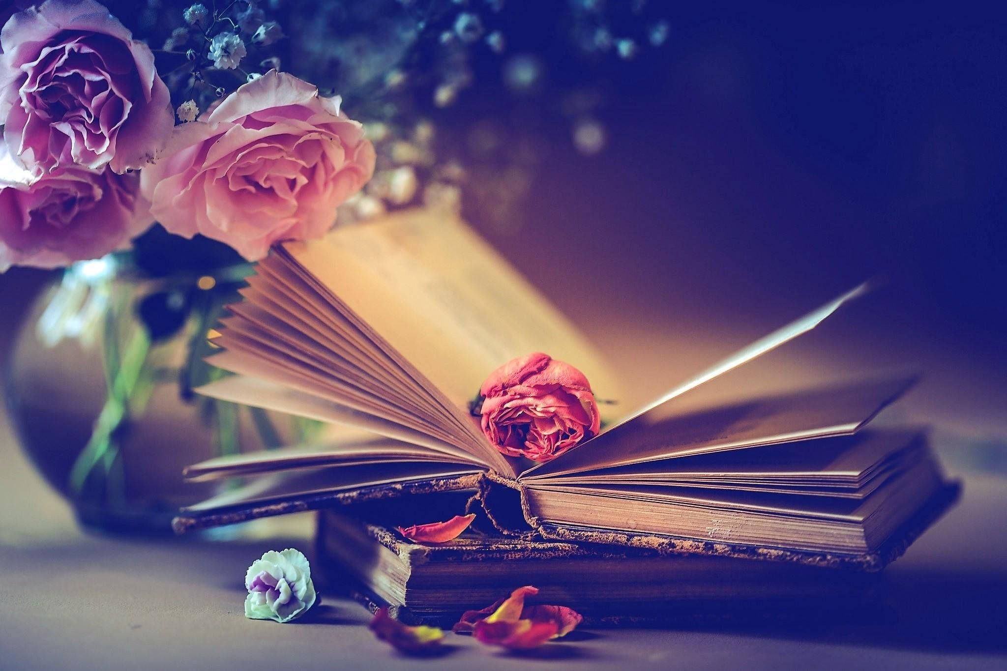 Картинки книги красивые для оформления
