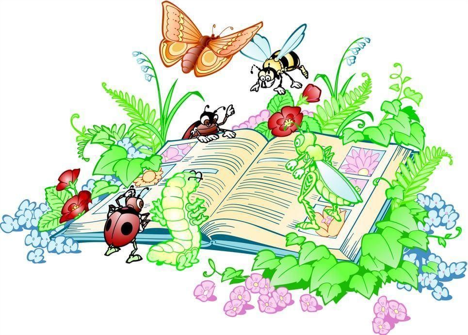 Книжное лето картинки