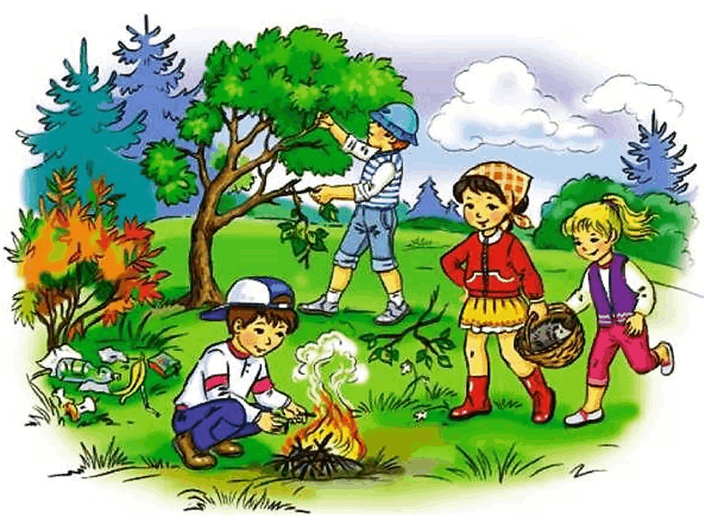 Поведение в лесу летом. Экология для детей дошкольного возраста. Природа и наша безопасность. Природа для дошкольников. Экология в лесу для детей.