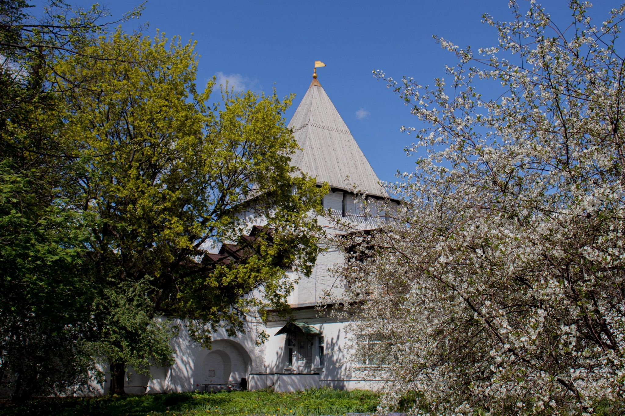 Зал классика ярославский музей заповедник