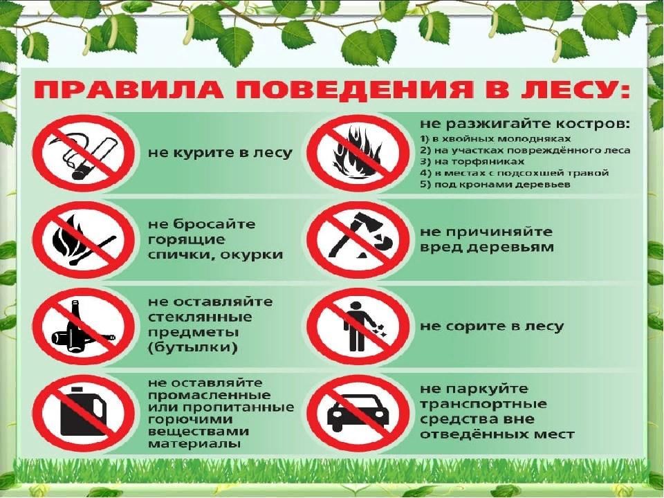 Карта разрешения посещения лесов