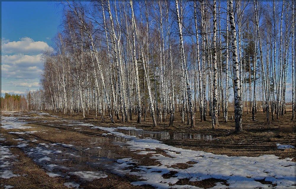 Апрель в картинках