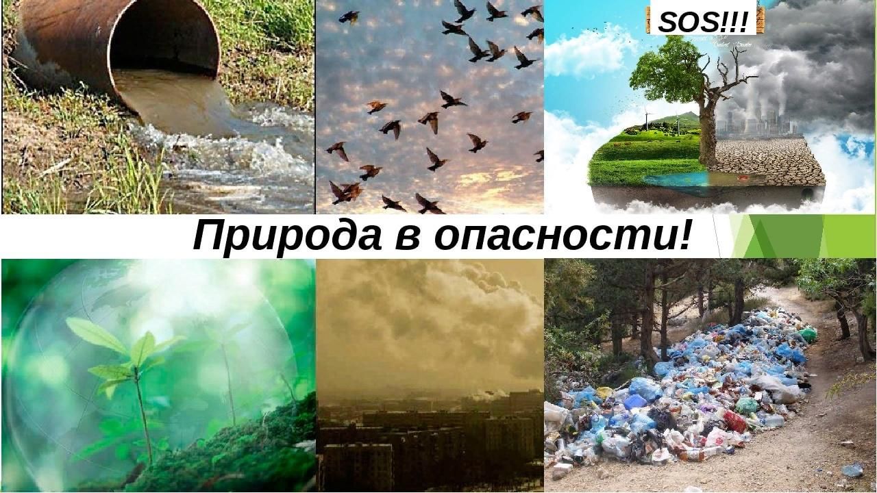 Экология сравнение. Экологические проблемы. Priroda v APASNOSTI. Защита экологии и окружающей среды. Природа в опасности.